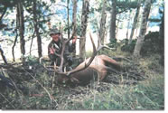 Elk Mountain Ranch - Big Game Hunting